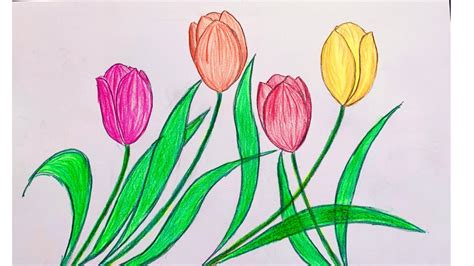 Vẽ Hoa Tulip đẹp Và đơn Giản Cách Vẽ Hoa Tulip How To Draw Easy
