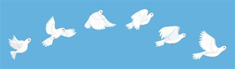 Premium Vector Flying Bird Animation White Pigeon Flapping Wings
