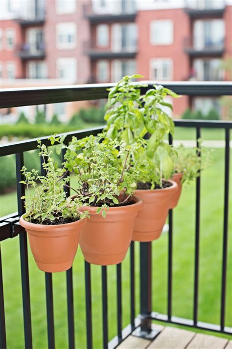 Want To Grow Basil Mint Rosemary Thyme Or Any Other Yummy Herbs But