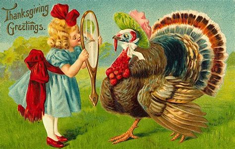 Vintage Thanksgiving Postcard Turkey Reflection