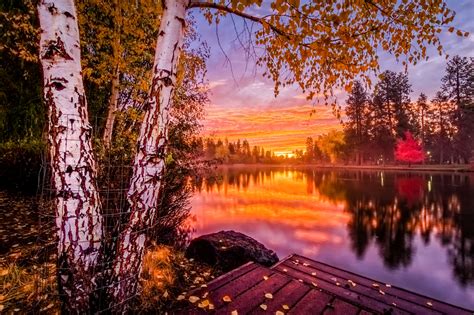 Wallpaper Sunlight Trees Landscape Forest Fall Sunset Lake