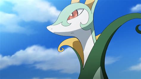 Archivota01 Serperior De Nancipng Wikidex La Enciclopedia Pokémon