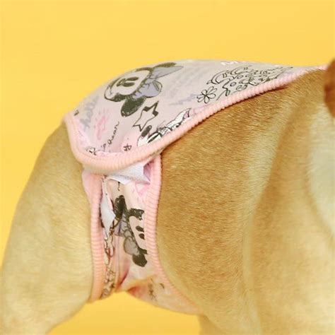 Dog Heat Period Panties Frenchiely