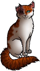 The warriors cats are divided into four clans known as thunderclan, windclan, riverclan, and shadowclan and skyclan. Image - Brightheart.warrior.png - Warriors theory Wiki