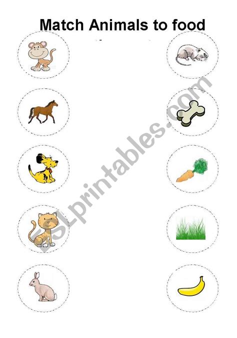 Animals And Food They Eat Esl Worksheet By Barkha
