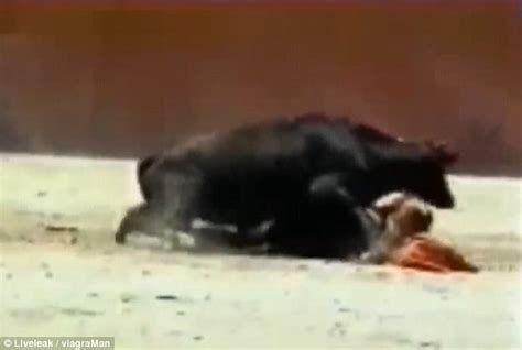 Disturbing Moment A Bull Mounts A Female Bullfighter In The Middle Of A Fight Daily Mail Online