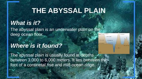 The Abyssal Plain By Chelsea Akano