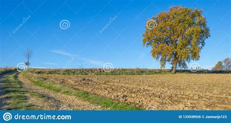 Rural Hilly Landscape In Fall Colors In Sunlight Stock Photo Image Of