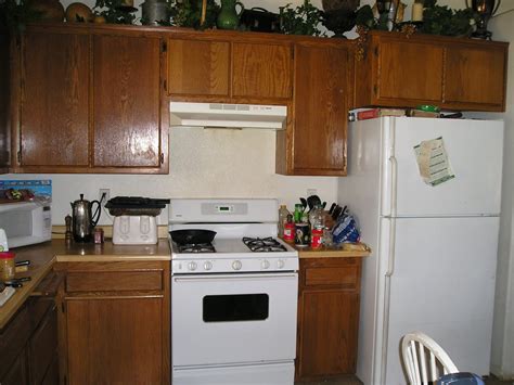 Classic head vs heart query. A Garden of Roses: Kitchen Makeover Part 1