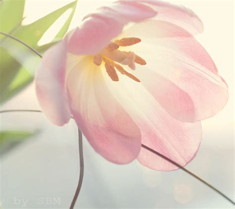 See more ideas about pastel pink, pink, pink aesthetic. FREE 22+ Pastel Wallpapers in PSD | Vector EPS