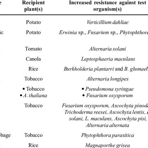The plant cell wall is a complex and dynamic structure that is mainly composed of polysaccharides, with cellulose being a key component. Schematic drawing of fungi and yeasts cell wall. It is ...