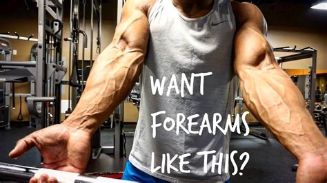 12 Best Forearm Workouts Exercises For Forearms Grip Strength Lupon