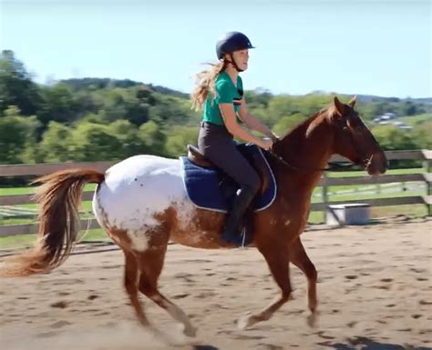 How To Ride The Canter Step By Step Guide