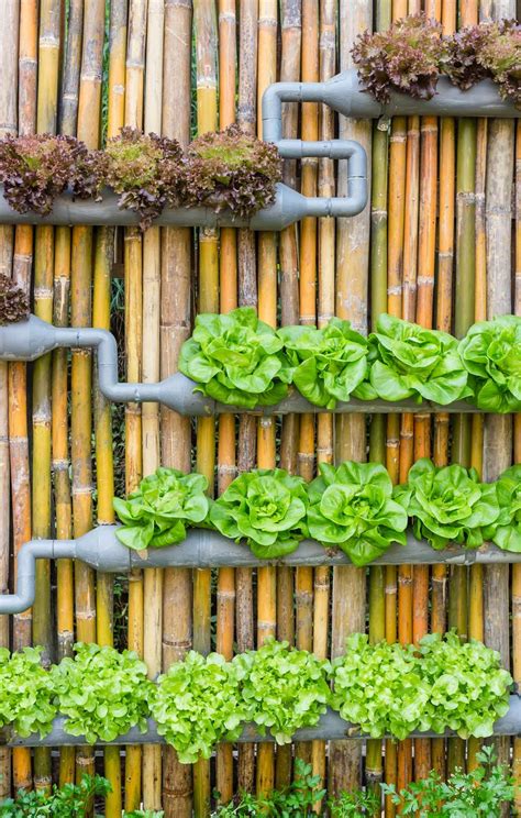 Grow A Garden Anywhere Vertical Garden Diy Vertical Vegetable