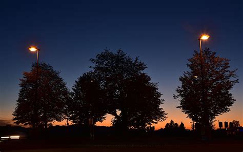 Hd Wallpaper Sunset Blue Hour Trees Lanterns Dark Light Evening