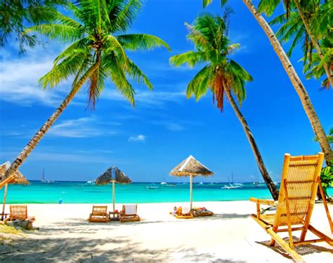 Tropical Paradise Beach 4k Hd Desktop Wallpaper For
