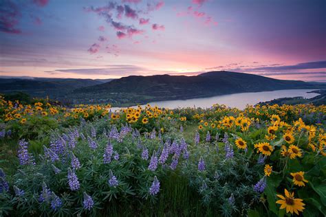 Rowena Sunrise By Jesse Estes Nature Is Life S M0key