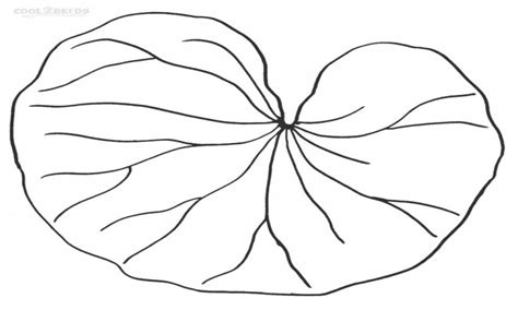 Lily coloring and activity page. Lily Pad Coloring Page at GetDrawings | Free download