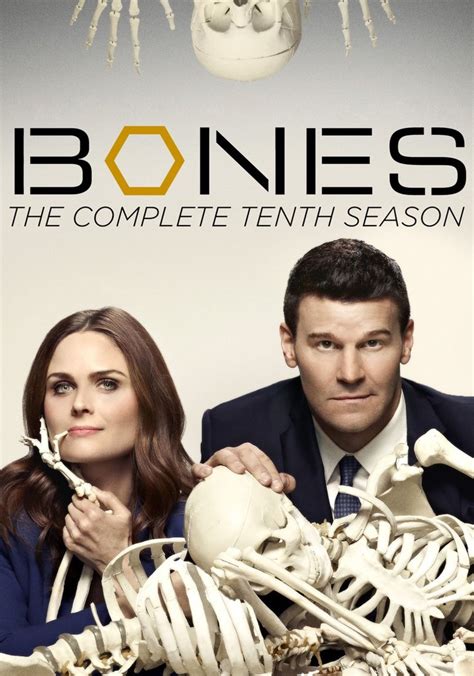 Bones Temporada 10 Ver Todos Los Episodios Online