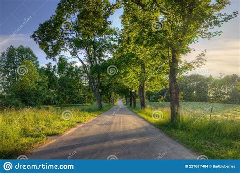 Rural Country Road At Sunset With Trees And Sunlight Stock Photo