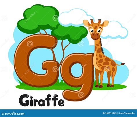 Alphabet Animal Big Giraffe Letter Gg On A White Preschool Education