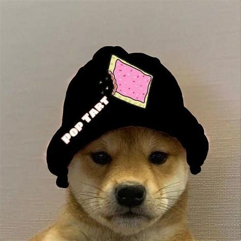 Pin By ♡달콤한 풍선 껌♡ On Doggo In 2020 Profile Picture