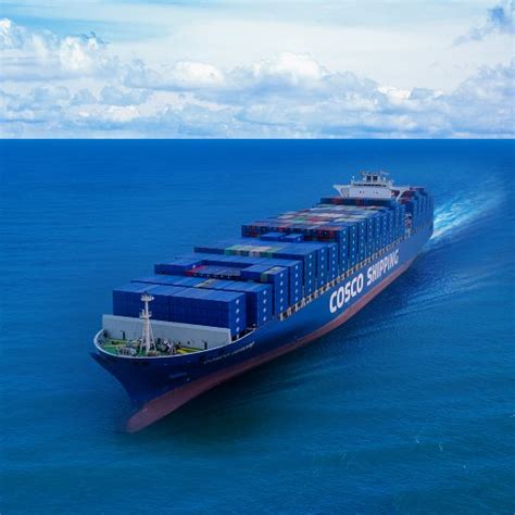 Organigrama Cosco Shipping Ports The Official Board