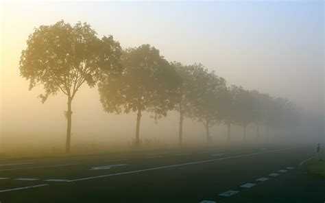 Foggy Asphalt Road Road Trees Sunlight Hd Wallpaper Wallpaper Flare