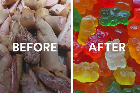 What Is Gummy Bear Gelatin Made From 27f Chilean Way