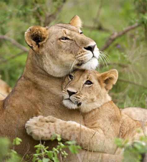 3130 halifax rd (8 122,70 km) south boston, virginia 24592. Best South Africa Honeymoon Itineraries 2021-2022 | Zicasso