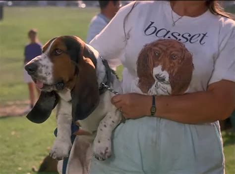 Columblr — The Basset Hound Club Picnic At The Beginning Of