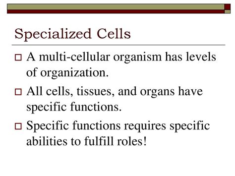 Specialized Cells Ppt Download