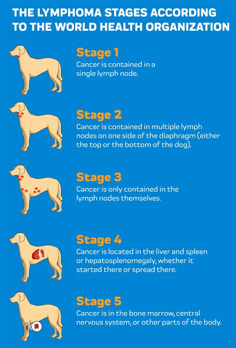 Find Relief With Cbd Oil For Lymphoma In Dogs Innovet Pet