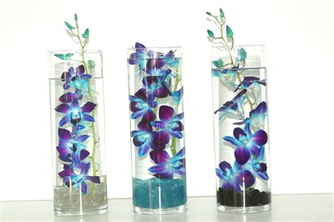 Tinted Blue Dendrobium Orchids Submerged In Glass Cylinders With Crushed Glass Base Floral
