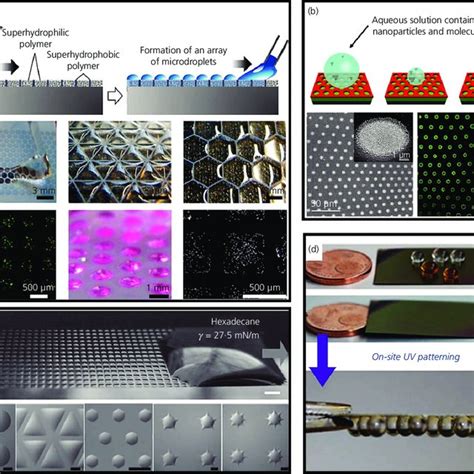 A Droplets Arrays With Different Geometries Were Prepared On The