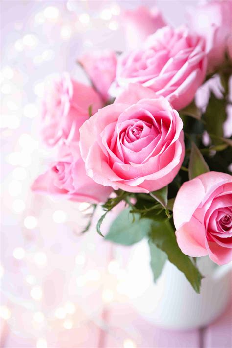 Bunch Of Pink Roses Wallpaper