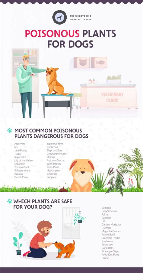 Poisonous Plants For Dogs How To Protect Your Dog From Common Toxic Plants