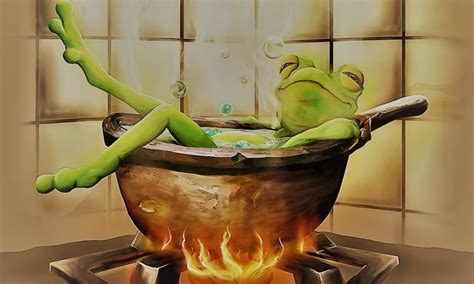 Frogs are fun and interesting creatures. How to Boil a Frog During a Chinese Biological Attack ...