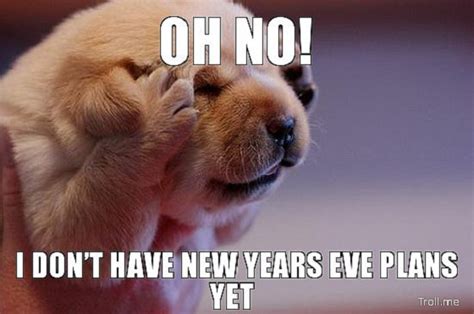 We did not find results for: 8 Funny New Year's Eve Memes To Keep You Laughing Into 2016