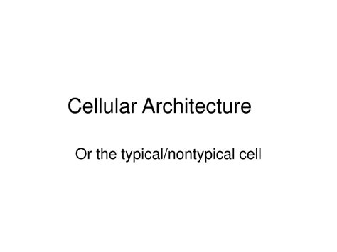 Ppt Cellular Architecture Powerpoint Presentation Free Download Id