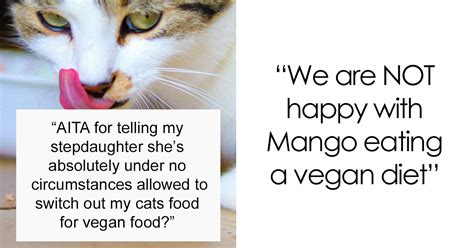 Can Cats And Dogs Live On A Vegan Diet