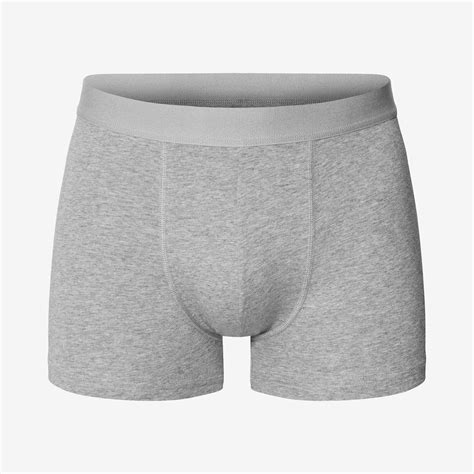 Grey Boxer Brief Underpants Made Of Organic Cotton And Elastane Bread And Boxers