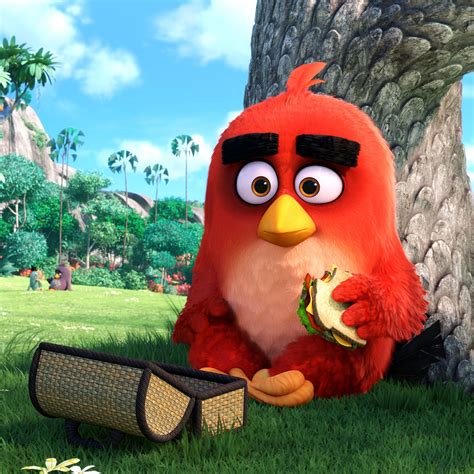 Watch the official clip compilation for the angry birds movie, an animation movie starring peter dinklage and jason sudeikis. The Angry Birds Movie (Teaser Trailer & Photos) - New New ...