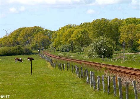 .uwe adam eisenbahnverkehrsunternehmen, deutschland / hafenbahnen / hafenbahn hanau. HeideBüsum
