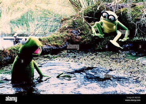 Kermit Goggles Kermits Swamp Years High Resolution Stock Photography