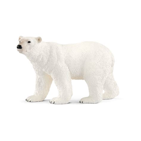 Polarni Medved 122cm X 57cm X 72cm