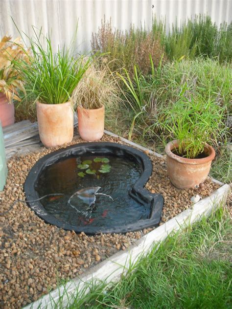 25 Beautiful Minimalist Fish Pond Design For Your Home Outdoor Fish