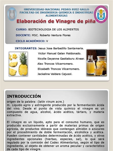 Elaboracion De Vinagre De Piña Pdf Vinagre Fabricación De Cerveza