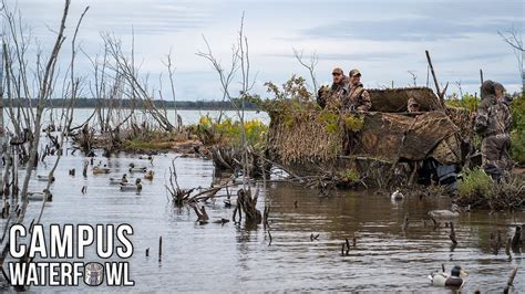 Duck Hunting On An Island For Michigans Duck Opener Camp Out Youtube