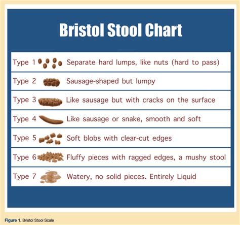 Know Your Poop Chart